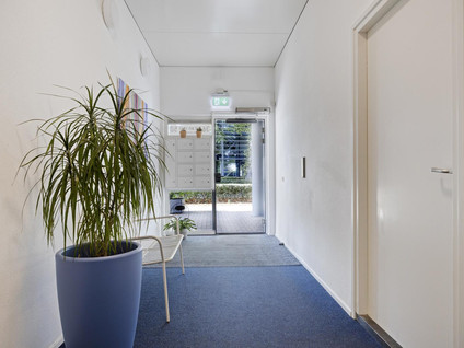 Kamerikstraat 36