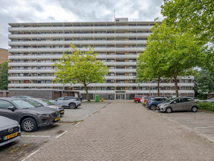 Seringenplantsoen 239