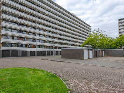 Seringenplantsoen 239