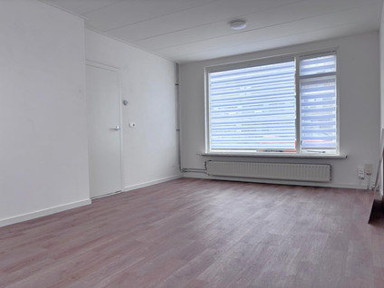 Ringlaan 35