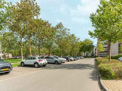 Achterwerf 259