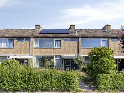 Brederolaan 61