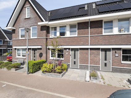 Draadzegge 50