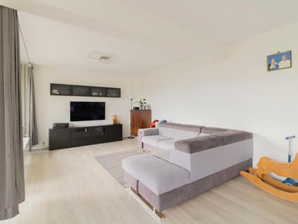 Meander 43