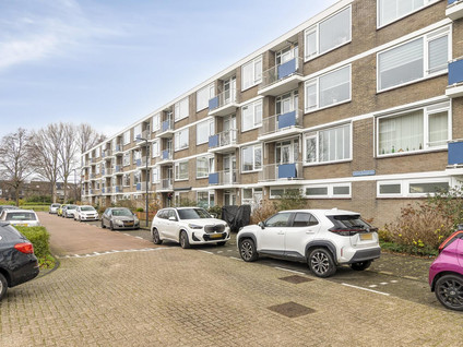 Jeroen Boschstraat 53