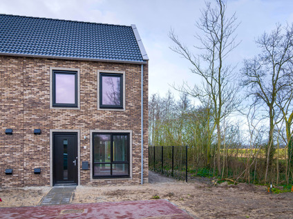 Kastanjehout in Den Helder