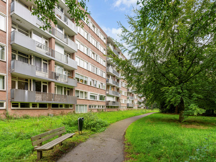 Cederstraat 147