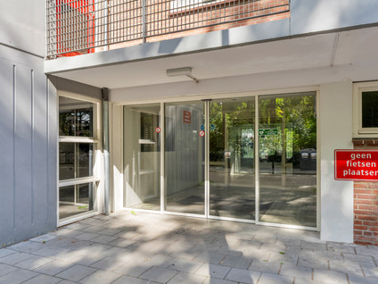 Cederstraat 147