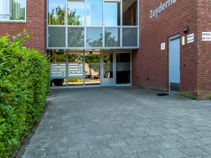 Insula 87