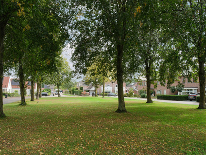 De Nachtuil 2