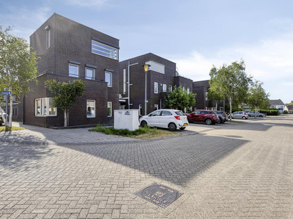 Bijvang 30