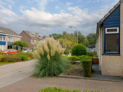 Selhof 22
