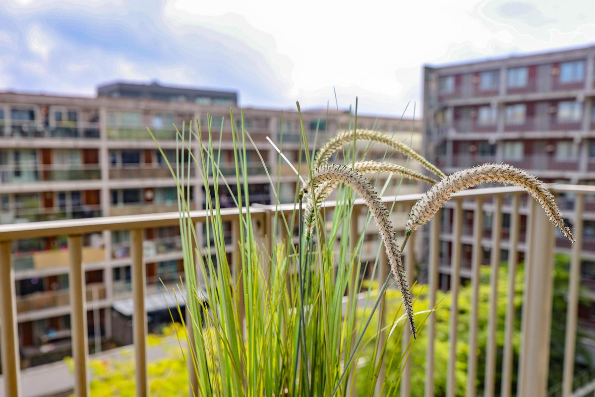 Appartement te koop: Julius Pergerstraat 218, Amsterdam