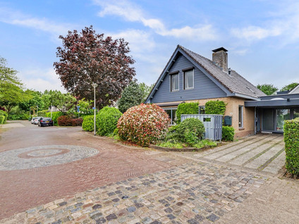 Buizerdstraat 9