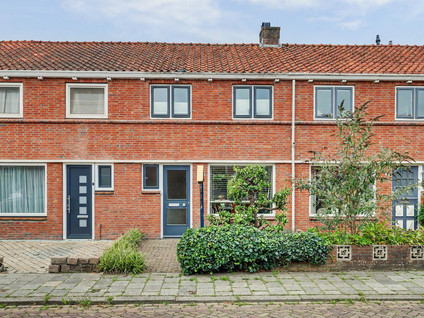 Violenstraat 31