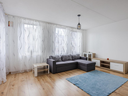 Hoefstraat 273 01