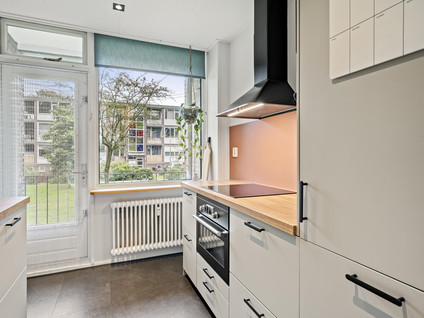 De Zoom 25