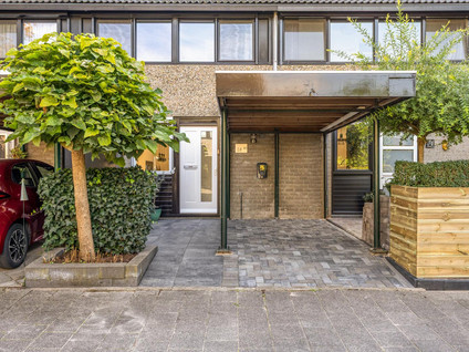 Deborah Hoeve 20