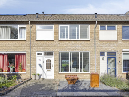 Molendries 10