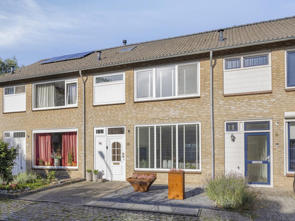 Molendries 10
