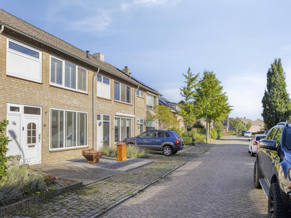 Molendries 10