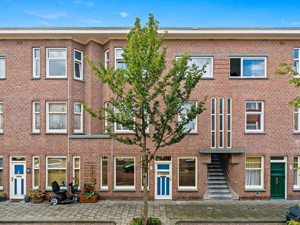 Drijfriemstraat 55