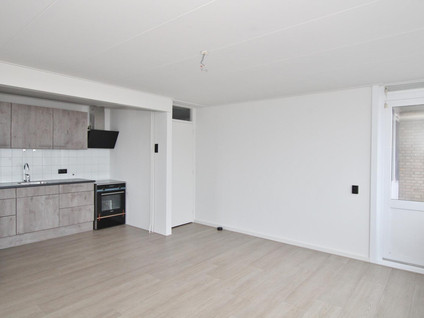 free-sector-houses for rent on Singelweg 79