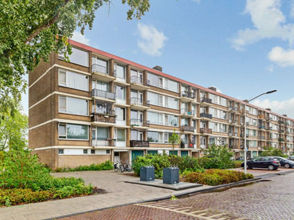 Bachstraat 260