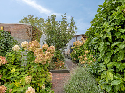 Roggestraat 44