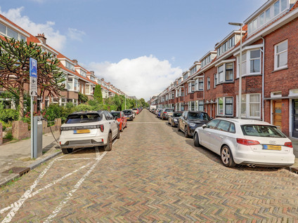 Tomatenstraat 102