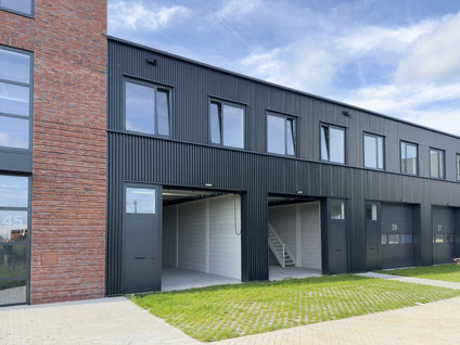 Steur 43