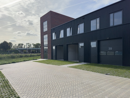 Steur 43