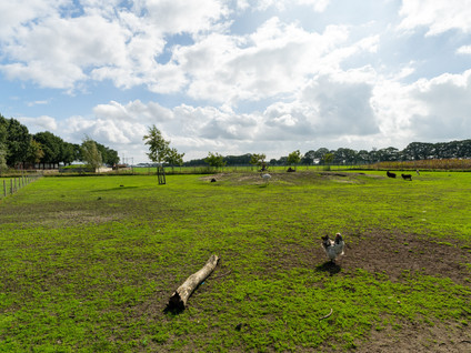 Vaartweg 202
