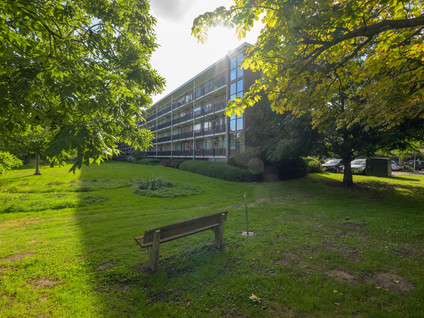 Van Der Werffstraat 360