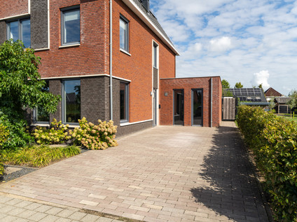 Boomgaard 13