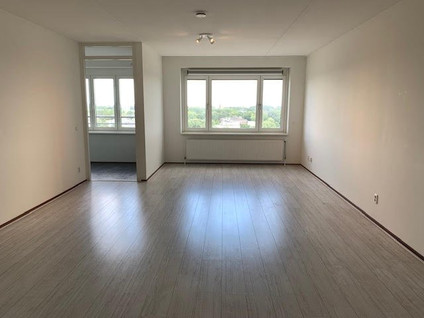 Rijngraafstraat 103