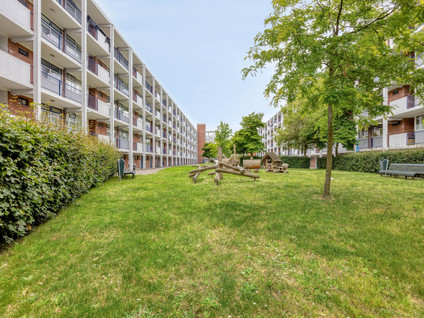 Wolvenrade 147