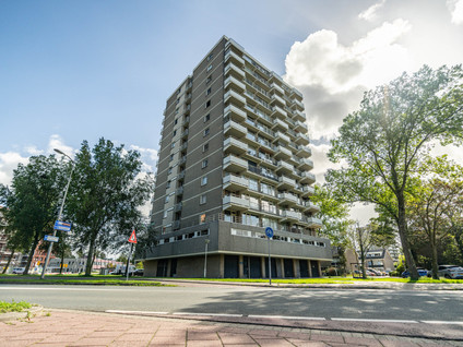 Willemstraat 38