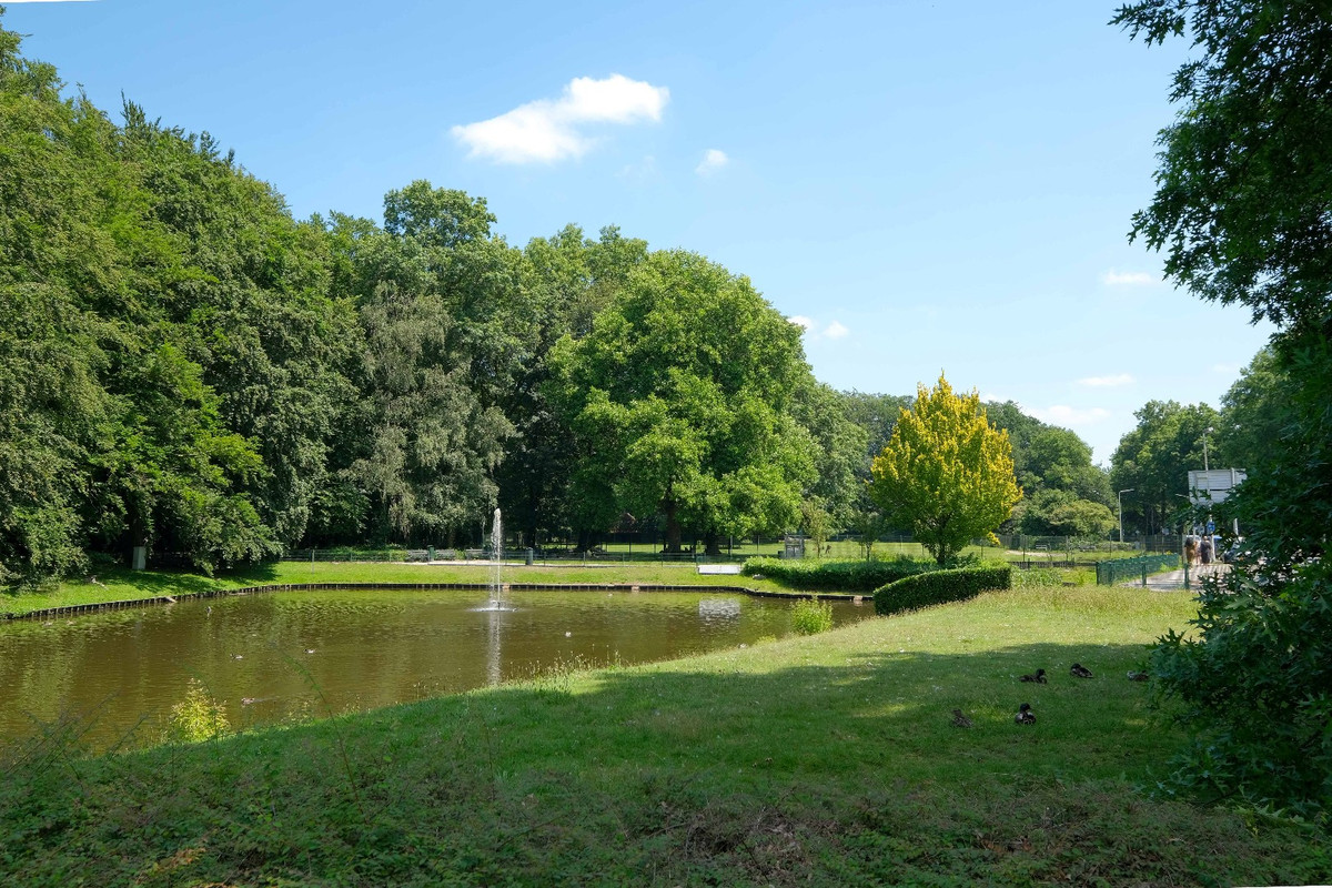 Studio te koop: Hagenborgh 5, Almelo