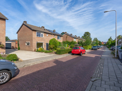 Anna Vaecstraat 20