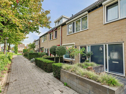 Esdoornstraat 31