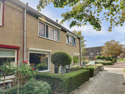Esdoornstraat 31