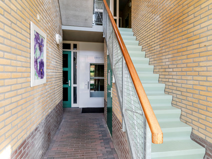 Distelvlinder 56