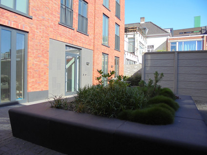Bisschop Zwijsenstraat 70 06