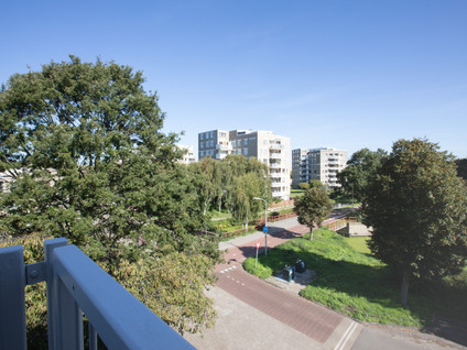 J.J. Heggestraat 80