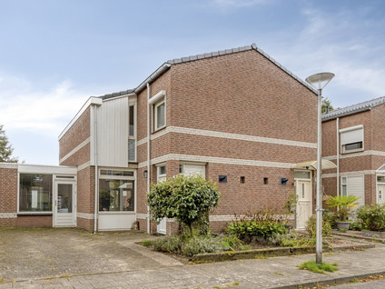 Plataan 42