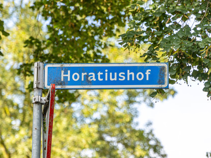 Horatiushof 46
