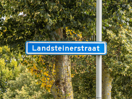 Landsteinerstraat 20