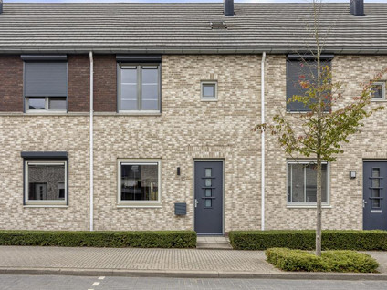 Stormramruwe 10