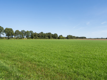 Kampweg 12